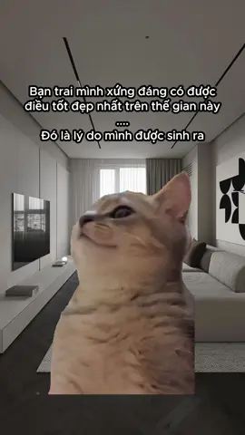 HiHi #kozyfashion #memes 