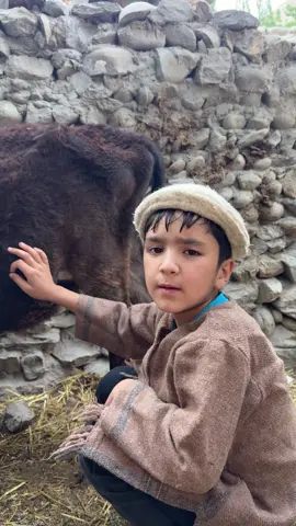 Gaaye Ka Server Down Hai 😂#unfreezemyacount #foryoupage #foryou 