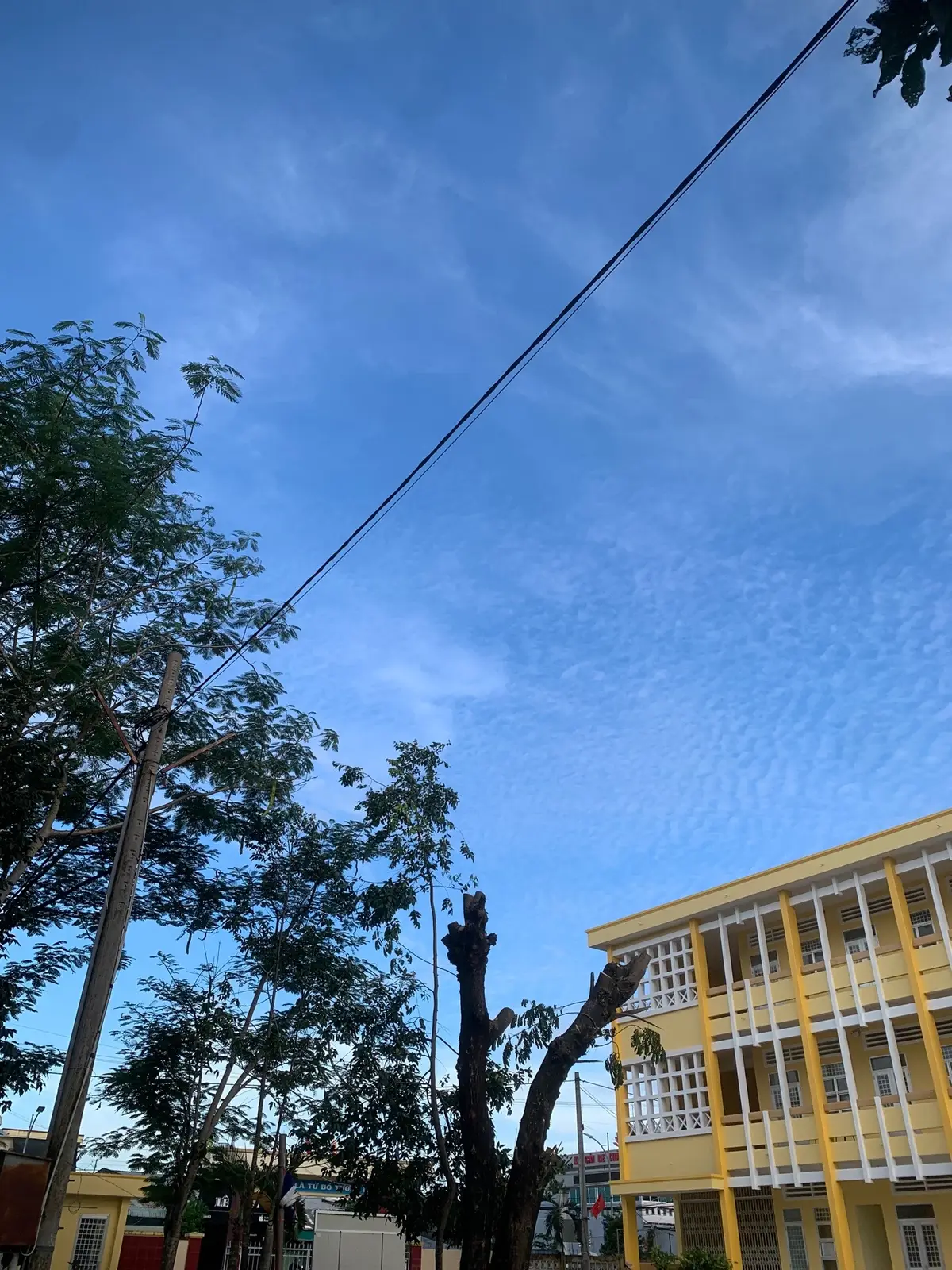 #xuhuong #thpthuynhvansam #canhdep 