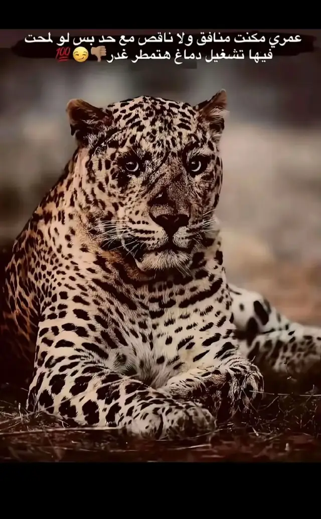 #اخصام_سهله👎🏻💯 