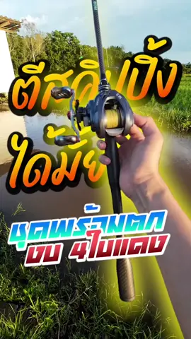 ตีสคิปปิ้งได้มั้ย ชุดเบ็ดตีเหยื่อ รอกพร้อมคัน งบ4ใบแดง HAIYI FISHING #รอกหยดน้ํา #ชุดเบ็ดตกปลา #ชุดตีเหยื่อปลอม #รอกพร้อมคัน #haiyifishing #ตกปลาช่อนข้างทาง #tiktokshopครีเอเตอร์ 