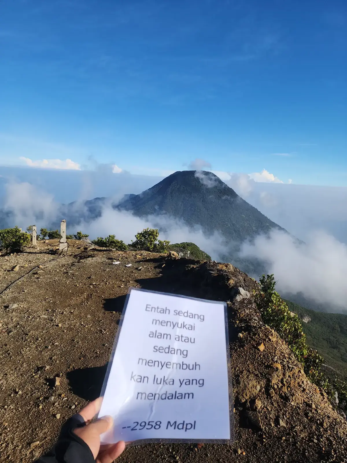 GEDE SE INDAH ITU YA #pendakifomo😝  #surken #gedepangrango2958mdpl #lewatberanda #fyp