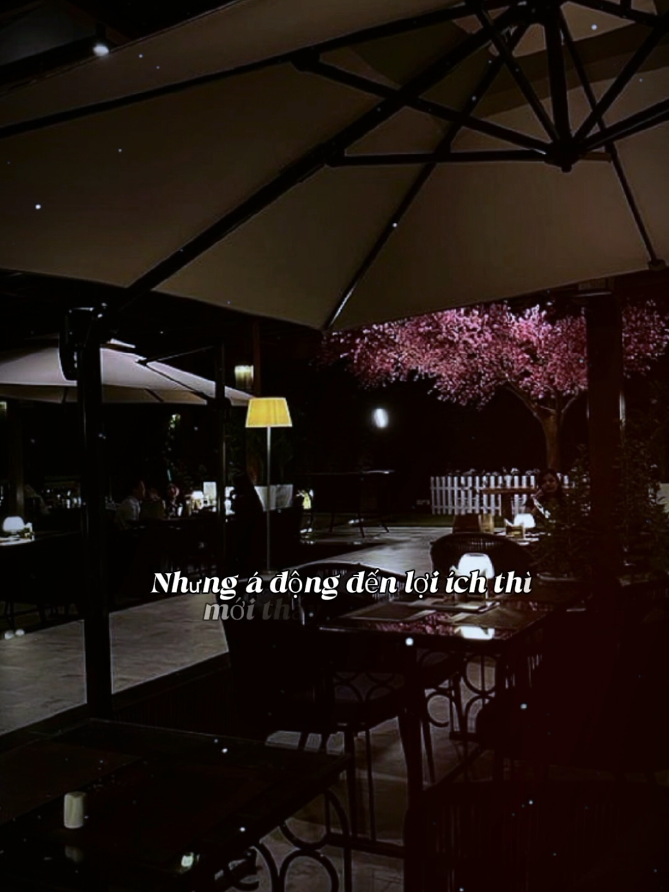 #CapCut đừng quá đề cao 2 chữ họ hàng  #tramtamtrang39 #nhachaymoingay #tamtrang #nhactamtrang 