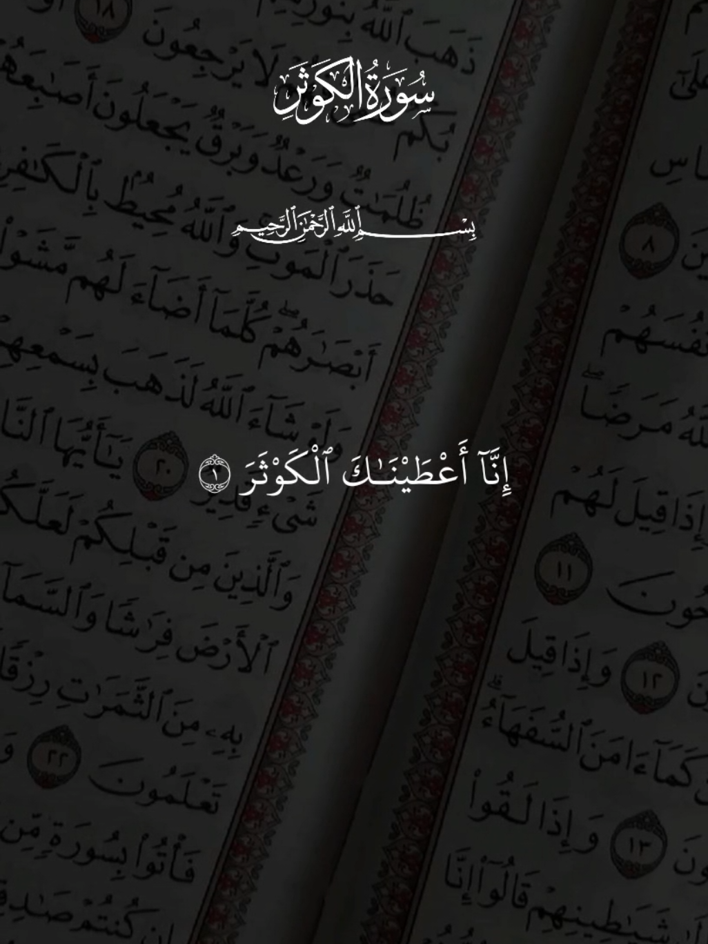 سورة الكوثر ماهر المعيقلي 🤍🕌  #نور_القرآن🌟 #ماهرالمعيقلي #راحة_نفسية #صوت_جميل #سورة_الكوثر #قران_كريم #quran_alkarim #quran 