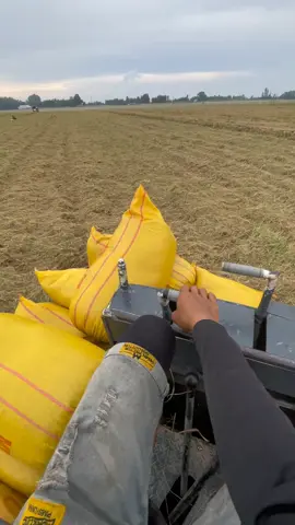 lâu lâu chạy lại cộ nó phê 🤣#xuhuong #kubotadc93xบ้าพลัง #máycắtlúavn🇻🇳 #tem67ag #xuhuongtiktok @🎀Nhựt Báo 105X🐉 @