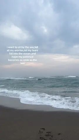 #fy #sea 