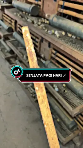 Menjaga kualitas telur tetep baik!!! #puyuh #peternakpuyuhindonesia #puyuhpetelur #telurpuyuh #fyp 