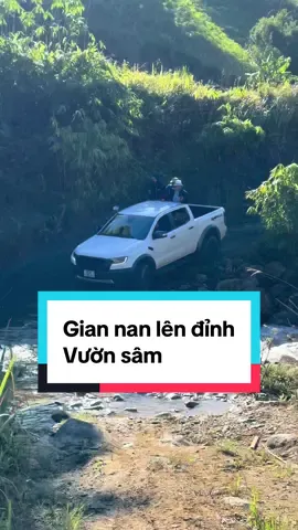 Hello mọi người nhá. Mời lên đỉnh vườn sâm #samngoclinh #xuhuong #kontum #trend 