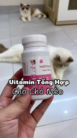 Vitamin tổng hợp bổ sung dinh dưỡng cho chó mèo#gàtrốngnuôimèo #petlabvietnam 