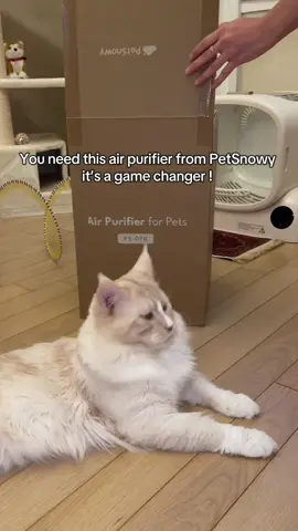 ✅ Pet-safe ✅ Ultra quiet ✅ Looks amazing ✅ Actually works Link - https://spn.so/l/y6thjiuq  @PetSnowy  #petsnowyairpurifier #airpurifier #petsnowy #collab #cat  ~gifted product~ 