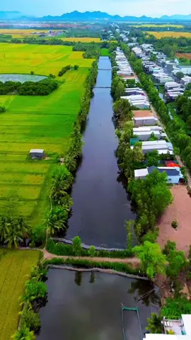 #xuhuong #mientay #đammê  #67angiang #flaycam4k ❤️❤️❤️🇻🇳🇻🇳