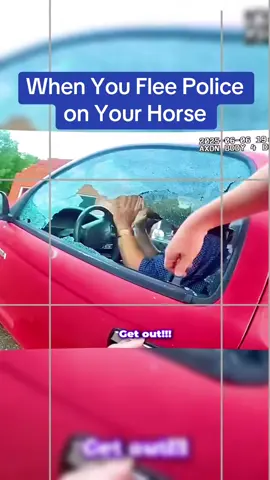 When You Flee Police on Your Horse #cops #copsoftiktok 