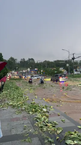 Đà Lạt sau cơn mưa lớn Chiều 18/8/2025 #thoitiet #mưa #dalat #dulichdalat 