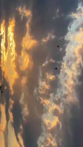 Hon Saari Baatein Tujhpe Khatam Or Tujhse Hon Shuru 🫠🌙#faizuuaest #fouryoupage #fyp #viral #fypシ #explore #edit 