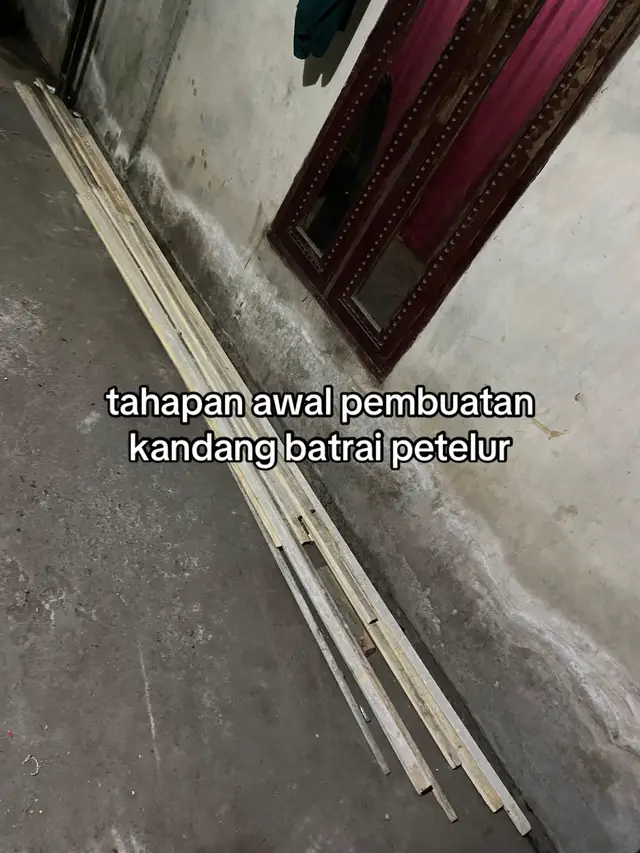 #pembuatan #kandang #baterai #semangatterus #peternakmuda #fypシ゚viral 