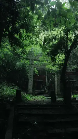 Oiwa-jinja Shrine｜大岩神社 Kyoto Kyoto is Japan’s ancient capital, famous for its temples, shrines, and beautiful seasonal scenery. It’s a place where history, culture, and nature come together. Oiwa Shrine Oiwa Shrine is a peaceful Shinto shrine surrounded by nature. Known for its sacred rocks and spiritual atmosphere, it’s a hidden spot for those seeking blessings and quiet moments.