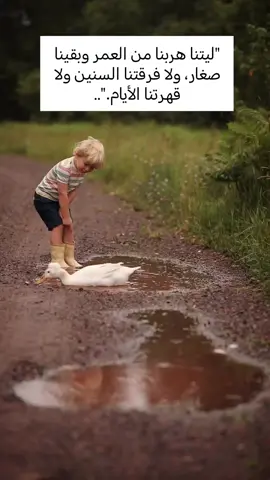 #اعلى_مشاهدة_في_تيك_توك #كلام_من_القلب #اكبسلور_export #الشعب_الصيني_ماله_حل😂😂 