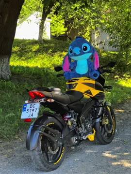 #bajaj #bajajpulsar #pulsarns200 #pulsar #bdzhilka🐝 