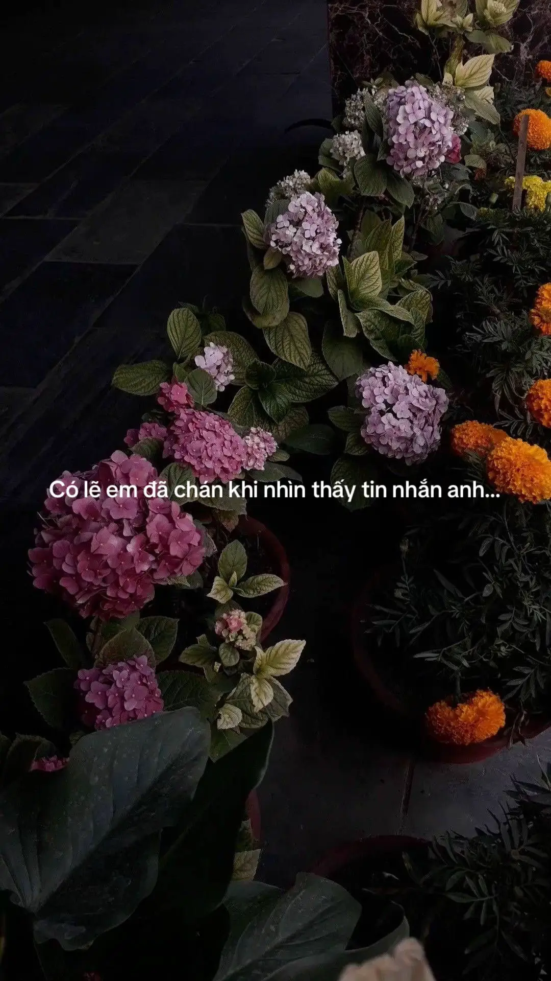 #toicomotnoibuon0805💌 