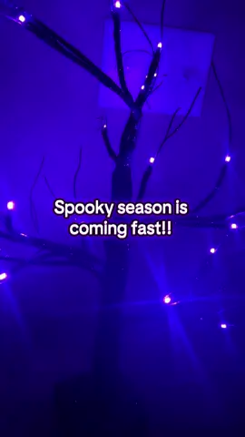 Grab these before it’s too late!! Especially the white ones for Christmas. You’ll thank me later!! #christmasdecor #halloweendecor #lights