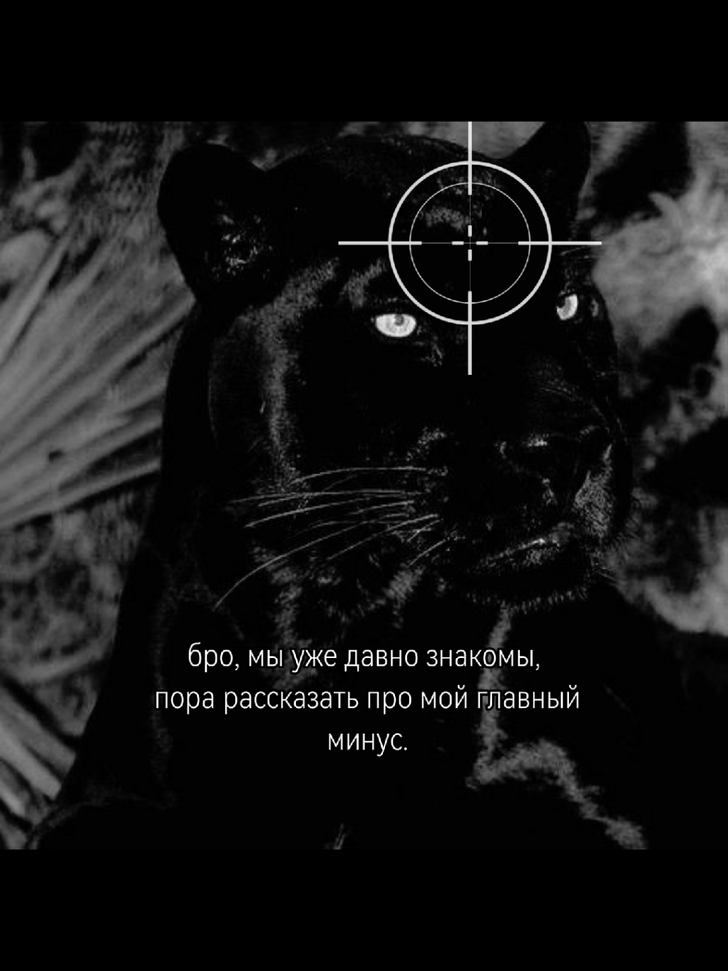пантера — подавлять свои негативные эмоции и бояться, что в один момент сорвёшься. #пантера #прицел #хочуврек #рекомендации #рек 