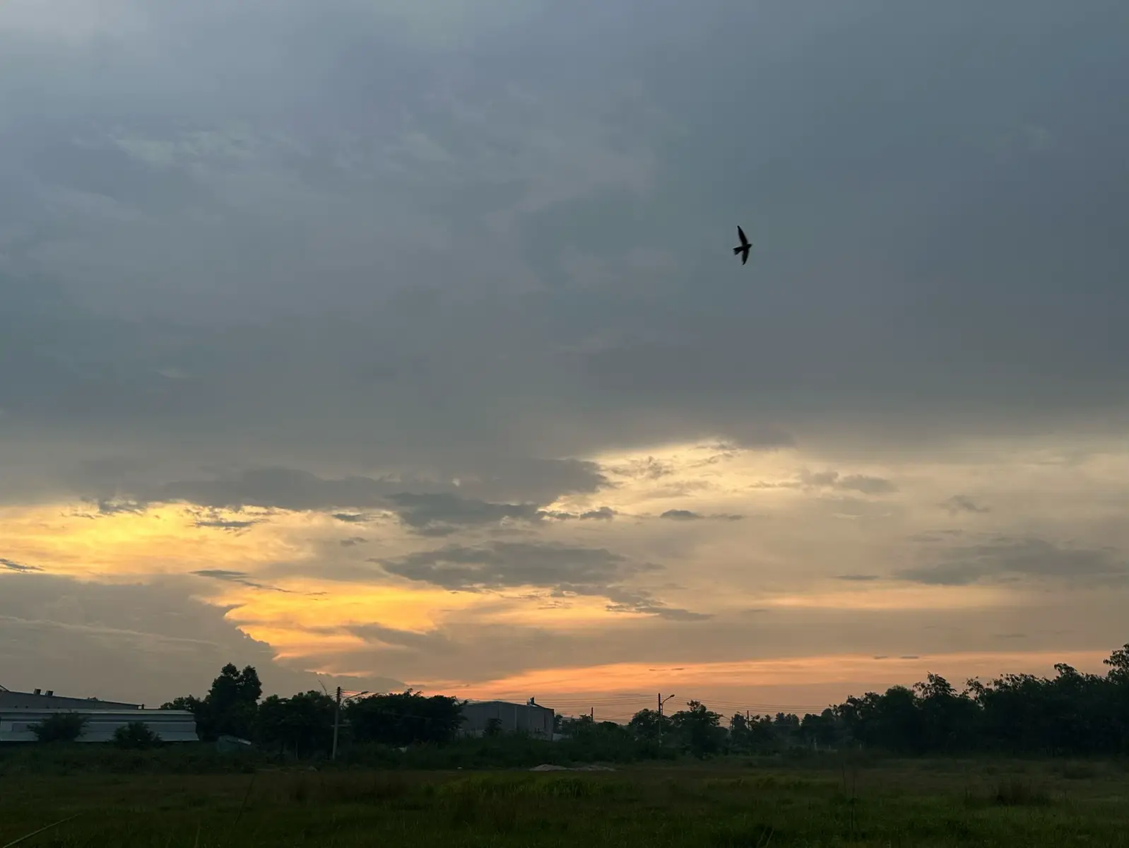 A đã suy nghĩ rất lâu Nhưng chắc a đã sai Xin lỗi vì đã làm phiền e lâu vậy Chỉ là thật lòng a k muốn đánh e Nhưng k có a Em sẽ vui hơn k có a e sẽ hạnh phúc hơn đúng k? A yêu e hơn bất kì ai , nhưng a lại k bằng ai Từ giờ a k làm phiền e nữa , a sẽ k nhắn tin liên tục chỉ để mong được e trả lời nữa , e sẽ k phải vì thương hại mà trả lời tin nhắn a như phép lịch sự nữa Anh đi nhé .. tạm biệt Em cùng những năm tháng hạnh phúc của chúng ta.