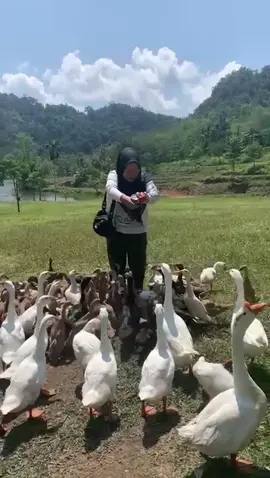 Aku sadar diri , aku sadar posisi 👍🏻🙏 #lagujawa #jawapride #lagujawaviraltiktok #lagutrending #laguviral 