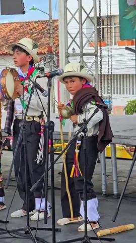 Así vivimos nuestro gran Festival  de la Guabina y el Tiple  2025 en Vélez Santander ¡Que viva Vélez! 💚 #festivales #colombia #santander #vélez 