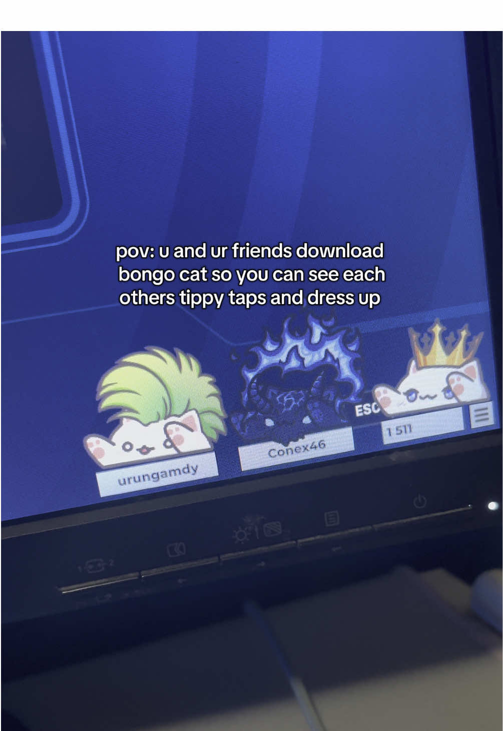 yes, I am obsessed 🥹🫶🏻💞🫧 #bongocat #cat #fyppppppppppppppppppppppp #xyzbca #steam @One spicy boi @urungamdy _ @Conex46 ❤️ 