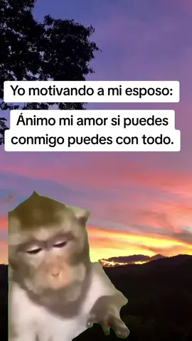 #jajaja 