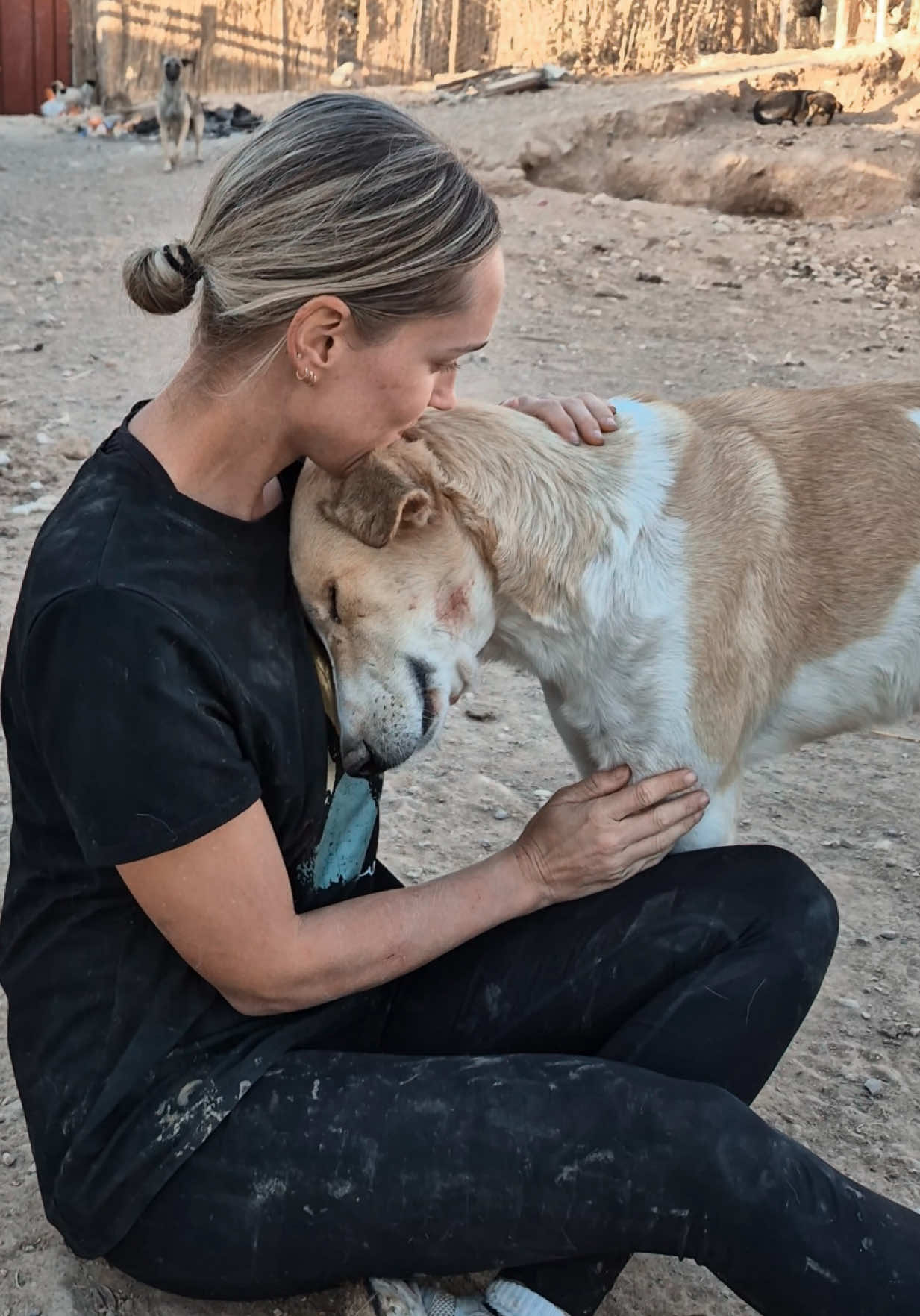 Dream big 🤎 #adoptdontshop #fyp #rescuedog #viralvideos #doglove 