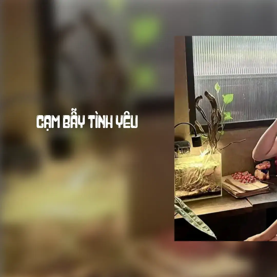 #nhacmoimoingay #remix #viral #trending #xh #music #fyp 