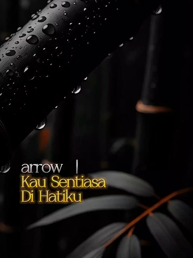 KAU SENTIASA DIHATIKU - ARROW #LirikPendek #LirikLagu #Jiwang #LaguJiwang #TerimaKasih 