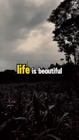 #life#is#beautifull #englishmotivation #MotivationMonday 