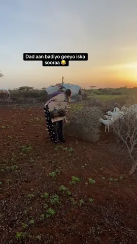 #dhaqankenawaadhaxalkena🇸🇴❣️ #galmuduggirl #ugusareya🌎 