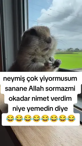 Allah sormazmi niye yemedin diye 😂😂😂😂😂😂#eğlence #komedi #komedikocak #keşfet #tiktok 