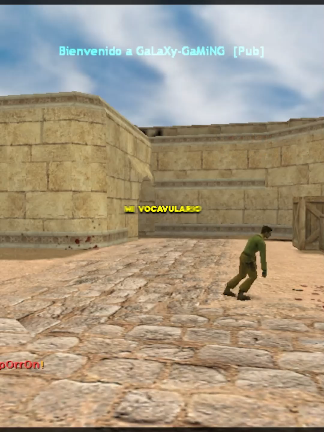 ¿cual seria el vocabulario correcto? 😂 #humor #cs #csgo #csgomoments #csgofunny #counterstrike