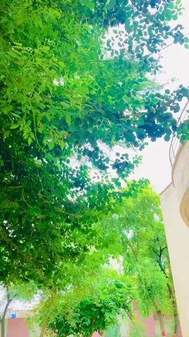 #ishowspeed #zach  #14august