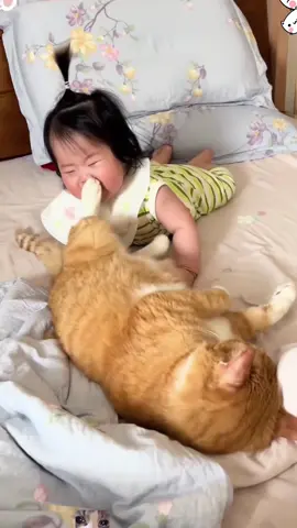 so funny!!!#cats #cutecats #foryou #funnytiktok #funnyvideos #usa #funnyanimals #fypシ #cute #funnycat #catlover #funnypets #viral #funny