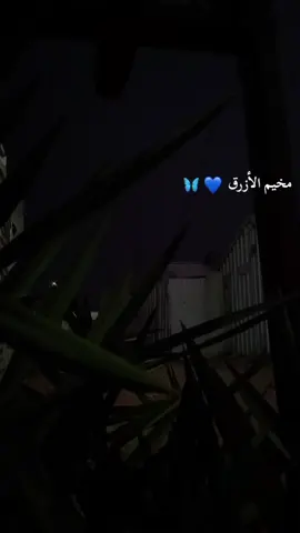 #الأردن #سوريا #tiktok #flaors #مخيم_الأزرق 