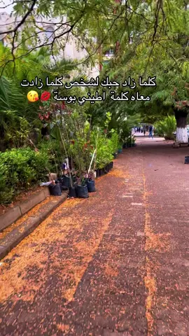 #شعب_الصيني_ماله_حل😂😂 #مالي_خلق_احط_هاشتاقات 