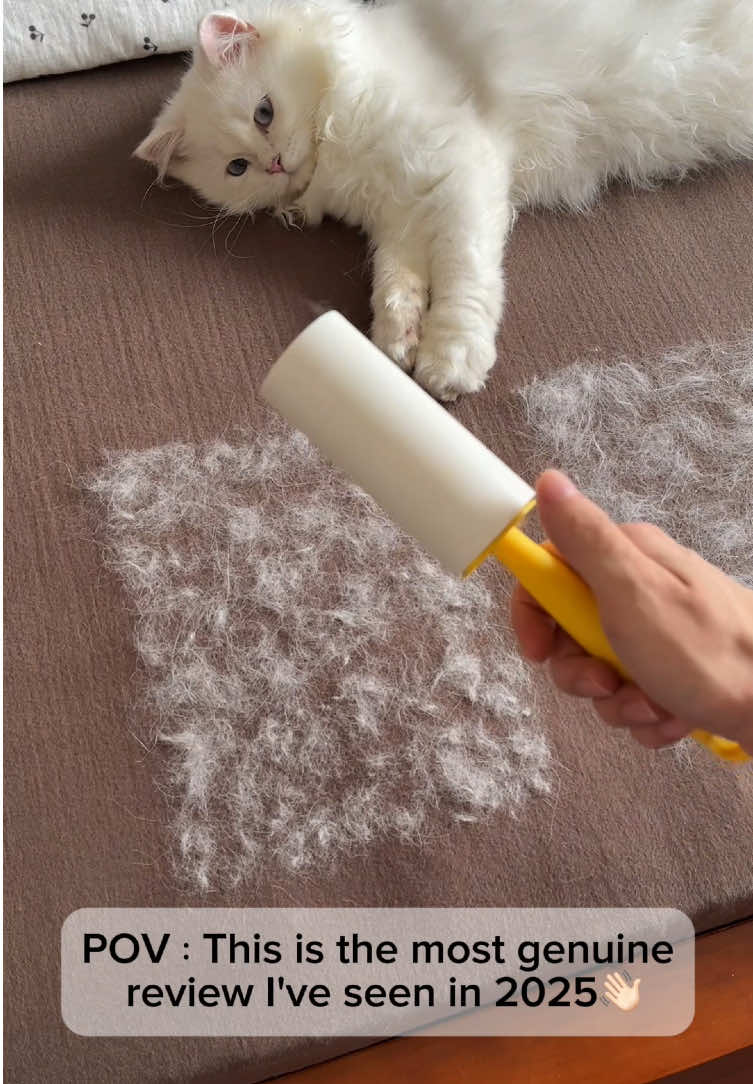 The most genuine pet hair cleaning tool#tiktokshop #tiktok #PetsOfTikTok #petproducts #pethairremoval 