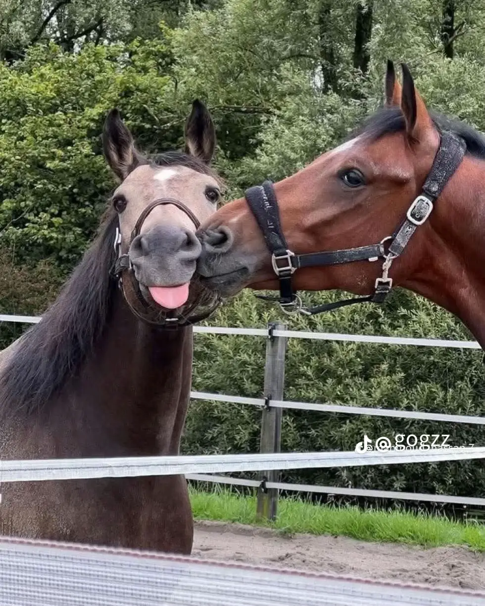 @ᴀ𝘩𝗺ᴇ𝓭😍👄 العشق كلوو