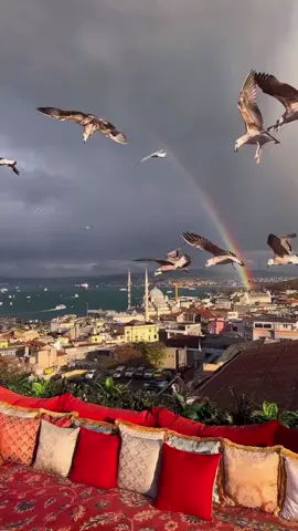 تركيا العشق ❤️❤️#تركيا #تركيا🇹🇷اسطنبول #البسفور_اسطنبول🇹🇷🇹🇷 