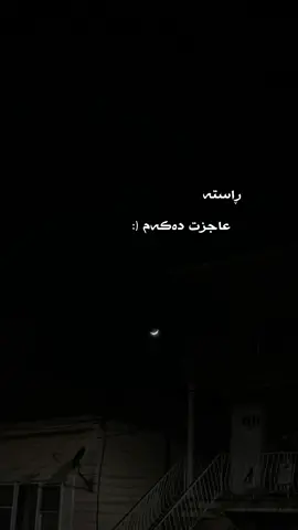 تاگی بکەو ئاشتی بکەوە 💞🌚!                                        #هۆگرم🌚✨ 