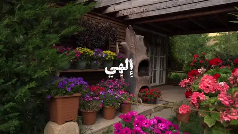 الهي ان لم تبتدئني الرحمه#دعاء #دعاء_الصباح #foryou #fyp #اباذر_الحلواجي 