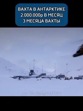 тгк: TheThingHATERS  #TheThing #TheThing1982 #TheThingMacready #MacreadyTheThing #RJMacready #TheThingWindows #WindowsTheThing #TheThingPalmer #PalmerTheThing #TheThingFuchs #FuchsTheThing #TheThingBlair #BlairTheThing #TheThingChilds #ChildsTheThing #TheThingGarry #GarryTheThing #TheThingCopper #CopperTheThing #TheThingNauls #NaulsTheThing  #TheThingClark #ClarkTheThing #TheThingNorris #NorrisTheThing #TheThingBennings #BenningsTheThing #Нечто #Нечто1982 #Ждун #Батя2Дед #вахта 