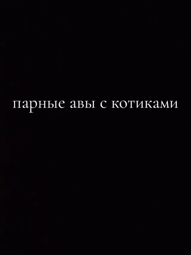 #парныеавы #рекомендациитикток #котик 