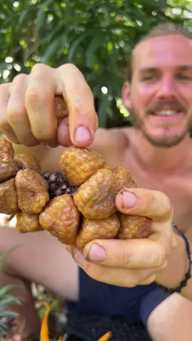 ❗Click Follow 👆 . . . . . #fruit #rawvegan #veganfood #Foodie #foodporn