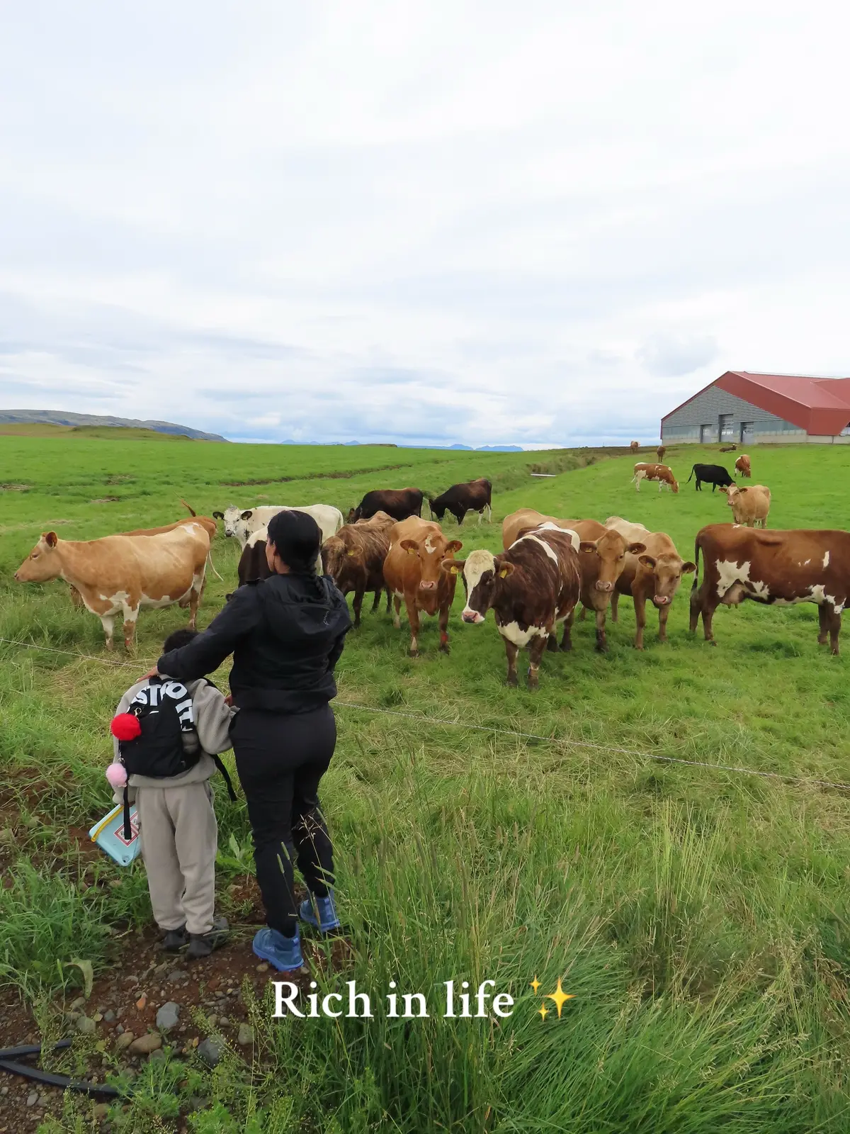 The shift that’s happening I just can’t explain. But anyhow, we seen these beautiful cows and spoke to them, showed them love and of course Cross had named a few 💕 #proudmom #peaceful #MomsofTikTok #family #familytravels 